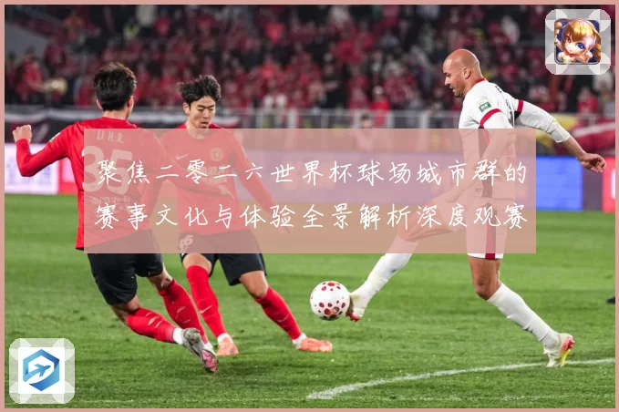 聚焦二零二六世界杯球场城市群的赛事文化与体验全景解析深度观赛事前瞻-深度解析