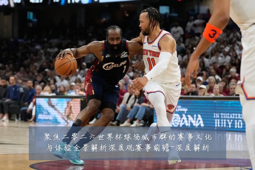 聚焦二零二六世界杯球场城市群的赛事文化与体验全景解析深度观赛事前瞻-深度解析